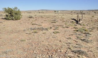986 Concho Hwy, Concho, AZ 85924