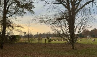 108 Brock St, Albertville, AL 35950