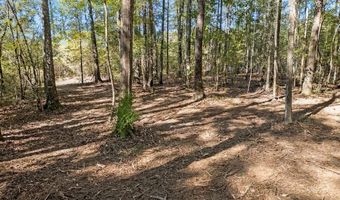 Louisiana #62, Angie, LA 70426