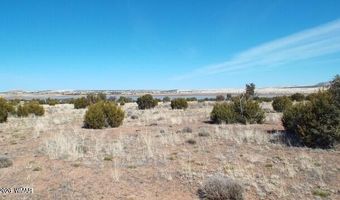 Parcel 107-52-046, Concho, AZ 85924