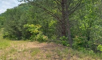 88 Acres Bolden Br, Andrews, NC 28901