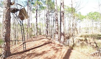 123 Westover Dr, Adel, GA 31620