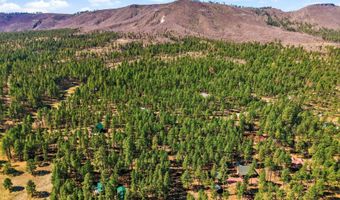 11 County Road 2135, Alpine, AZ 85920