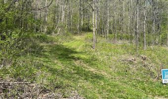 99999 Martins Creek Rd, Barnardsville, NC 28709