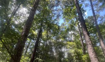 0 Christi Smith Rd, Andalusia, AL 36421