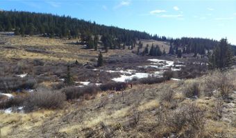 0 Snow Cap Peaks Rd, Alma, CO 80402