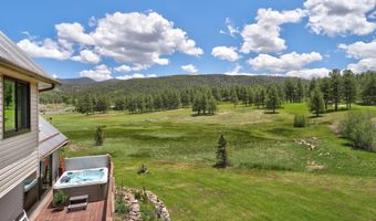 13 Woodlands, Angel Fire, NM 87710