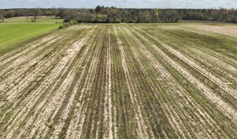15 Acres Antioch Church Rd, Ashford, AL 36312