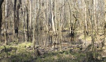 Bogue Chitto Road, Bogue Chitto, MS 39629