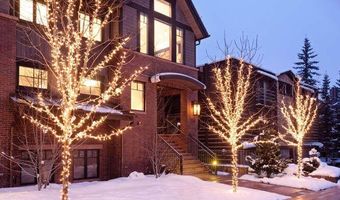 719 E Hopkins Ave 202, Aspen, CO 81611