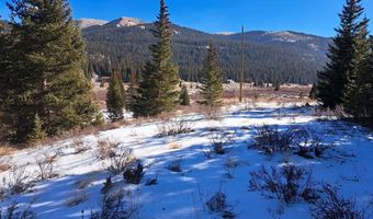 3553 RIVER Dr, Alma, CO 80420