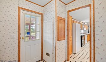 1825 Rottweiler, Belgrade, MT 59714