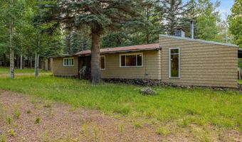 21 County Road 2043, Alpine, AZ 85920