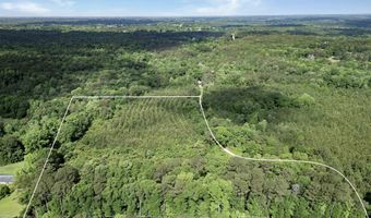 Louisiana #62, Angie, LA 70426