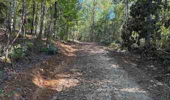 0 Slasham Rd, Ashville, AL 35953