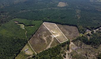 Lot 3 State Highway 790, Ackerman, MS 39735