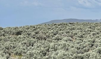 10 Button Point Rd, Golconda, NV 89414