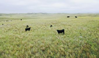 755 90 +/- Acres, Arnold, NE 69120