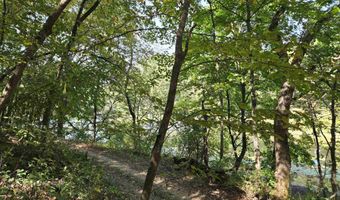 10 A26 Raven, Apple River, IL 61001