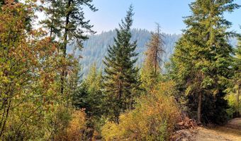 NKA Silver Creek Road, Clark Fork, ID 83811