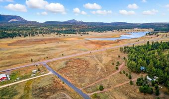 440 2104, Alpine, AZ 85920