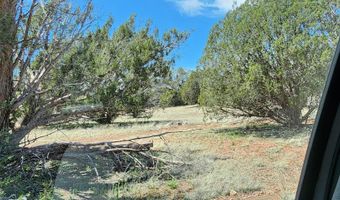 Ranch And Cattle lot 13, Ash Fork, AZ 86320