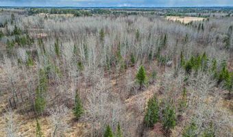 11448 Hwy 22, Angora, MN 55703