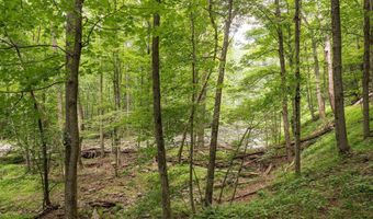 Boodle Hole, Accord, NY 12404