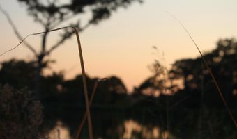 Bolivar Road, Benoit, MS 38725