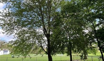 805 Utica Ave, Akron, OH 44312