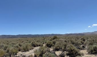 Fenceline Road, Gardnerville, NV 89410