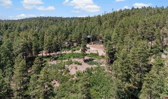 220 Hilltop Dr, Bayfield, CO 81122
