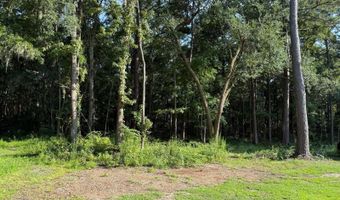 23 Joe Frazier Rd, Beaufort, SC 29906