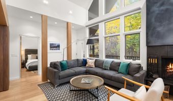 800 S Mill St 303C, Aspen, CO 81611