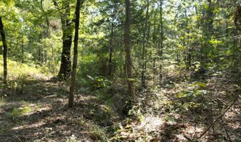 7 N Hall Rd, Antlers, OK 74523