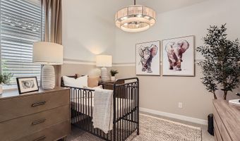 23368 W Weir Ave, Buckeye, AZ 85326