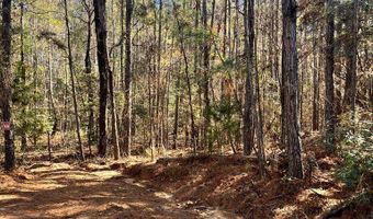 Chief Rd, Abbeville, AL 36310