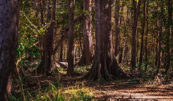 State Rd 121, Alachua, FL 32615