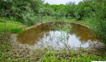 La Vernia Road, Adkins, TX 78101