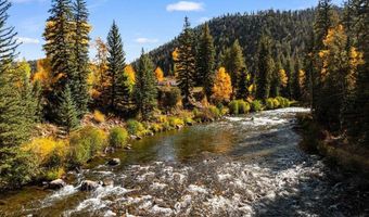 976 Wildwater Way, Almont, CO 81210