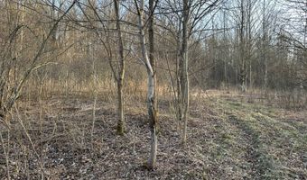 Lot 4 Mud Run Rd, Addison, NY 14801