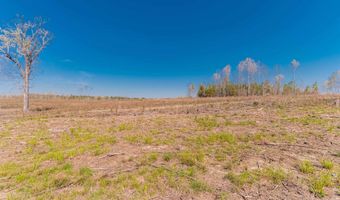Duncan Road, Batesburg, SC 29006