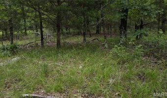 13 Hidden Vly Lks, Annapolis, MO 63620