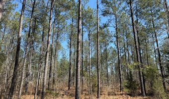 Highway 28, Abbeville, SC 29620