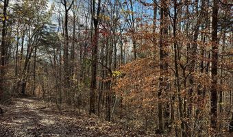 2 23 ACS Stone Clf, Albany, KY 42602