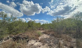 FM 1554 lot 0, Alice, TX 78332