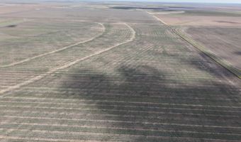 364 14 Acres Pullman Rd, Amarillo, TX 79118