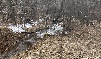 0 TBD Elleber Sods Rd, Bartow, WV 24920