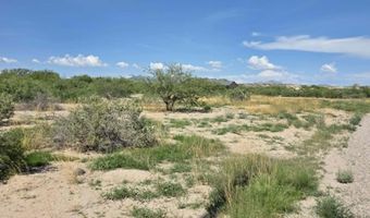 1227 N Pomerene Rd, Benson, AZ 85602