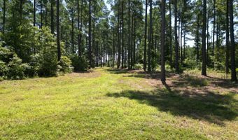 80 N4130 Rd, Antlers, OK 74523